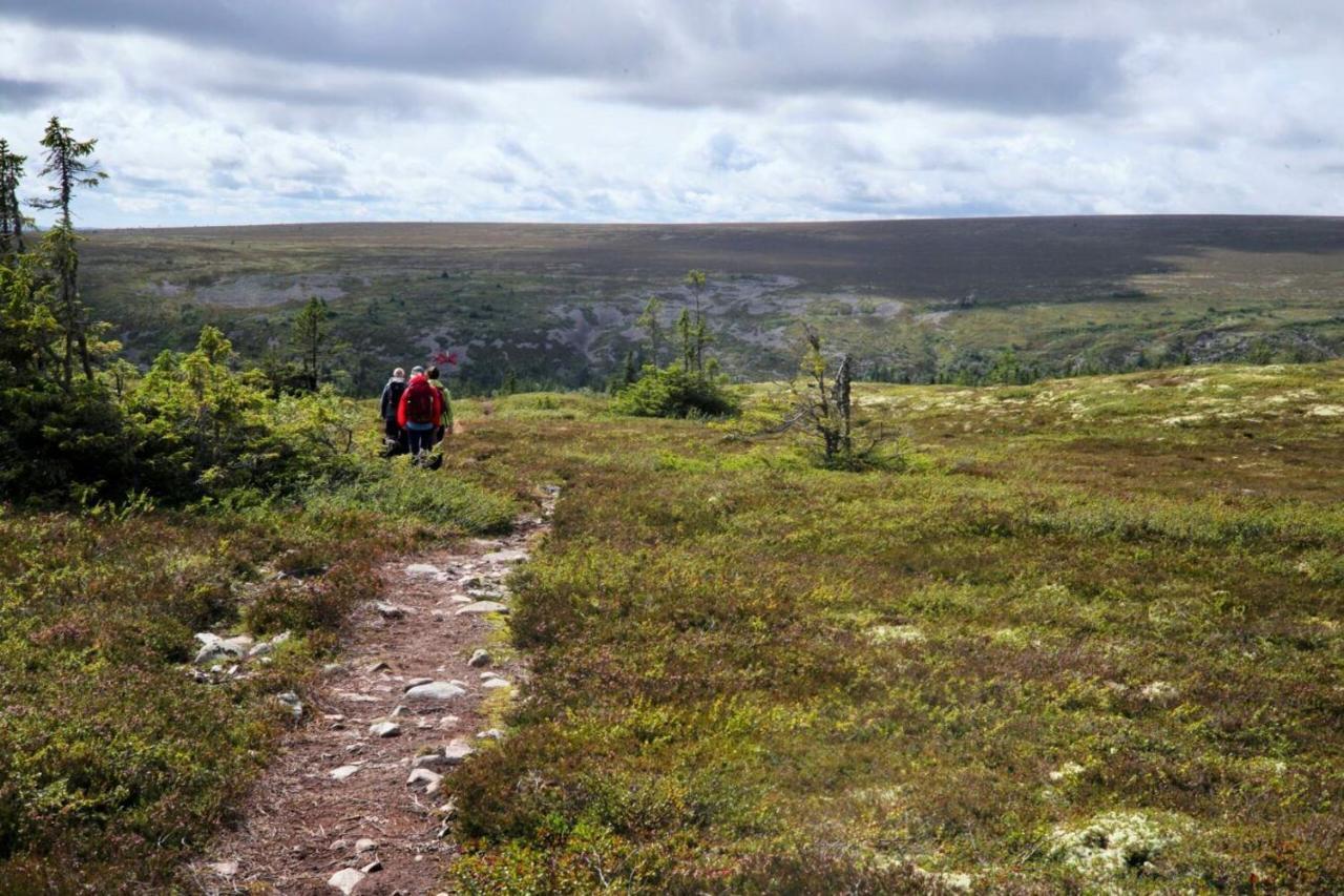 Stuga Sälen Kläppen 5 bäddar uthyres veckovis Söndag - Söndag Exteriör bild