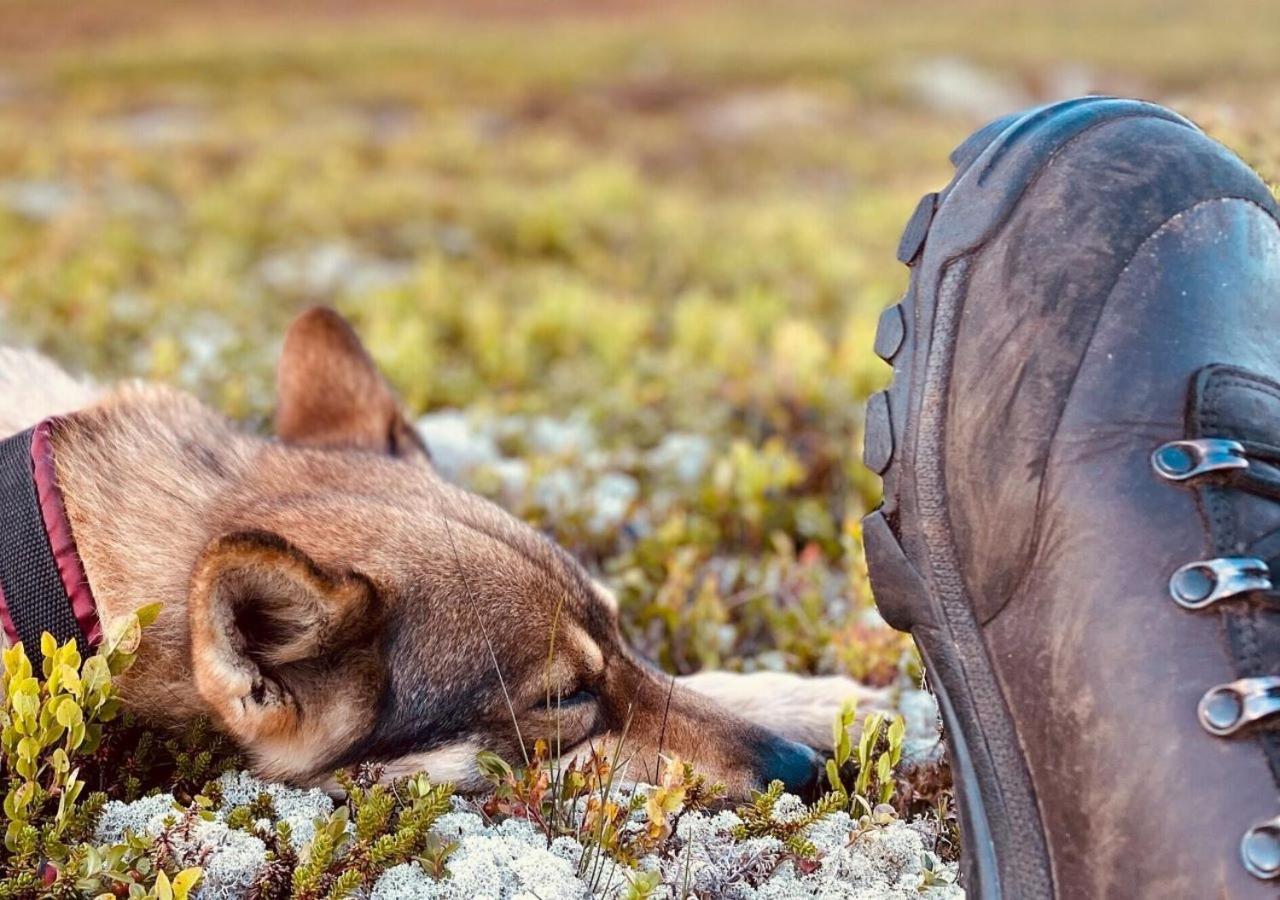 Stuga Sälen Kläppen 5 bäddar uthyres veckovis Söndag - Söndag Exteriör bild